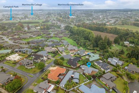 Photo of property in 12 Maple Place, Morrinsville, 3300