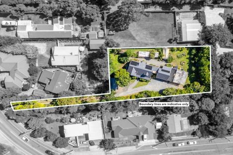 Photo of property in 203 Te Moana Road, Waikanae, 5036