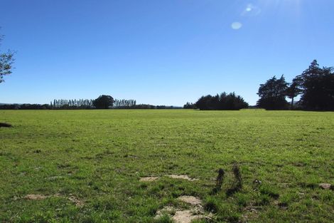 Photo of property in 274 Sheddan Road, Tapanui, 9587