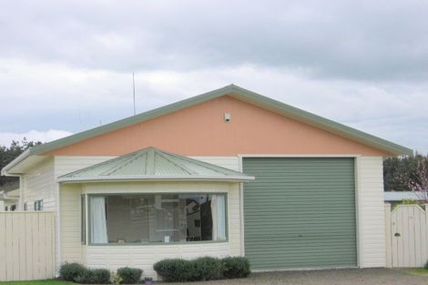 Photo of property in 17 Hennessy Street East, Foxton Beach, Foxton, 4815