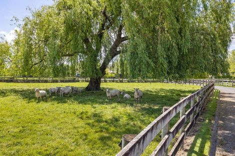 Photo of property in 815 Parallel Road, Ohaupo, 3881