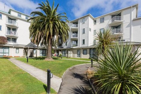 Photo of property in Palm Grove Apartments, 8/13b Palm Grove, Berhampore, Wellington, 6023