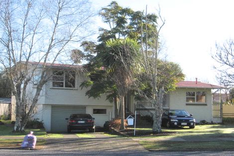 Photo of property in 40 Willis Road, Papakura, 2110