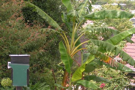 Photo of property in 246/44 Napier Avenue, Takapuna, Auckland, 0622