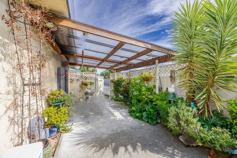 Photo of property in 1/305 Park Road South, Akina, Hastings, 4122