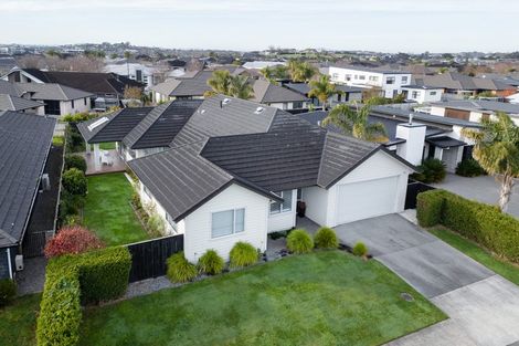 Photo of property in 64 Roy Hilton Drive, Flagstaff, Hamilton, 3210