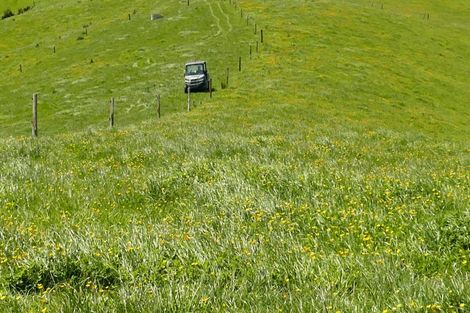 Photo of property in 361 Martin Road, Waerenga, Te Kauwhata, 3781