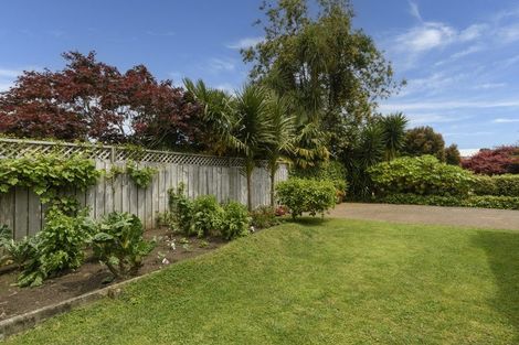Photo of property in 10 Rochester Place, Bethlehem, Tauranga, 3110
