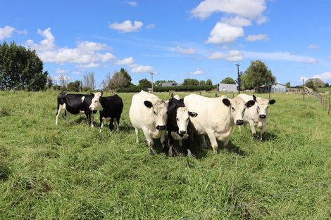 Photo of property in 991 East Road, Toko, Stratford, 4392