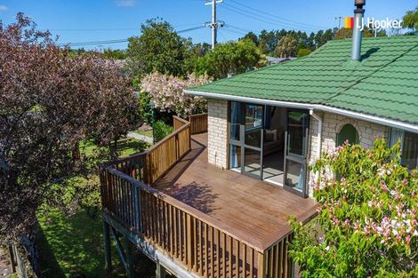 Photo of property in 67 Viscount Road, Waldronville, Dunedin, 9018