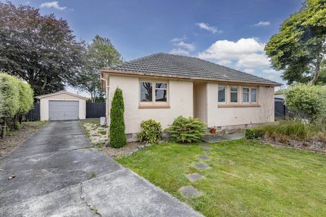 Photo of property in 5 Dana Place, Mairehau, Christchurch, 8013