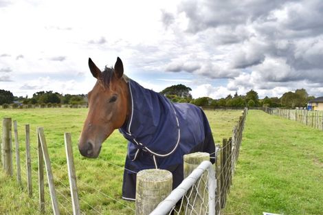 Photo of property in 126 Gear Road, Te Horo, Otaki, 5582