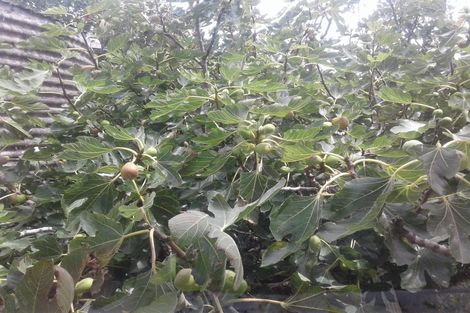 Photo of property in 4487 State Highway 12, Ruawai, 0592