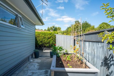 Photo of property in 18b Karamu Street, Taupo, 3330