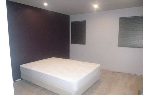 Photo of property in The Lofts, 10/185 Victoria Street, Te Aro, Wellington, 6011