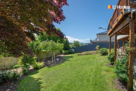 Photo of property in 19 Braeside, Kinmont Park, Mosgiel, 9024