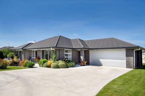 Photo of property in 8 Amber Grove, Matamata, 3400