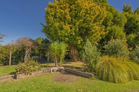 Photo of property in 147 Robinson Road, Whitianga, 3510