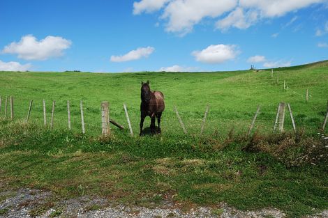 Photo of property in 62 Kiwi Lane, Kaiwaka, 0573