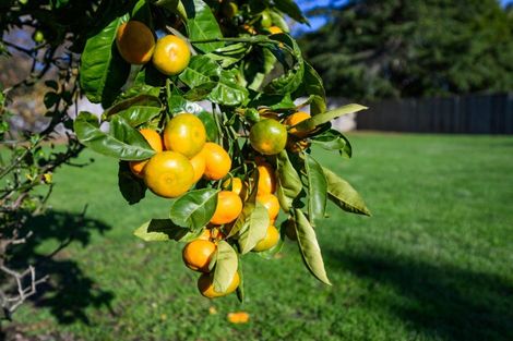 Photo of property in 21 Queen Street, Feilding, 4702