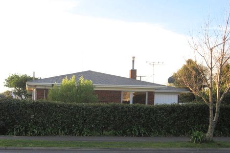 Photo of property in 181 Clarkin Road, Fairfield, Hamilton, 3214