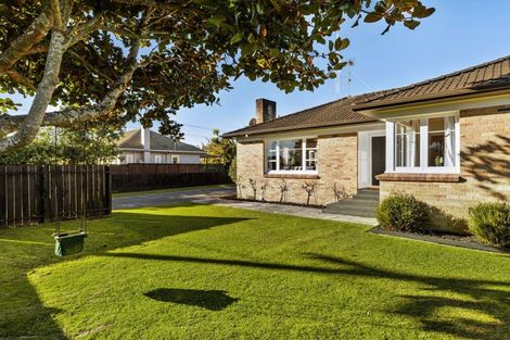 Photo of property in 20 Hobson Street, Maeroa, Hamilton, 3200