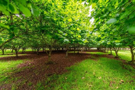 Photo of property in 120 Summerleaze Road, Pareora West, Timaru, 7971