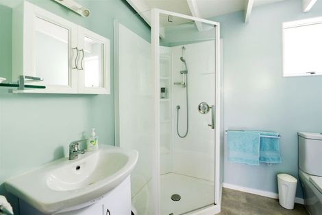 Photo of property in 18 Nikau Street, Duncan Bay, Tennyson Inlet, 7195