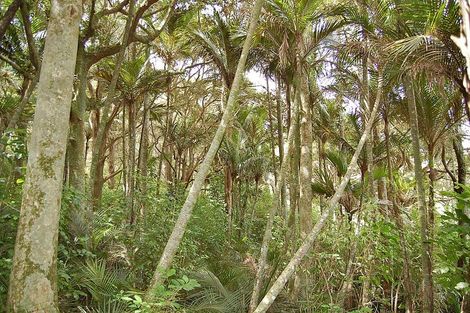 Photo of property in 280c Baldrock Road, Kaiwaka, Maungaturoto, 0587