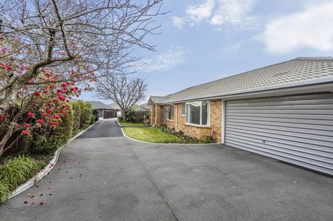 Photo of property in 29 Bella Rosa Drive, Hei Hei, Christchurch, 8042