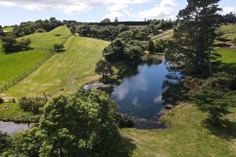 Photo of property in 342 Youngson Road, Whakamarama, Tauranga, 3179