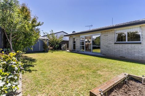 Photo of property in 3/38 Leander Street, Mount Maunganui, 3116