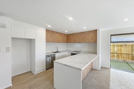 Photo of property in 420b Tremaine Avenue, Takaro, Palmerston North, 4412