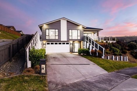 Photo of property in 117 John Burke Drive, Aotea, Porirua, 5024