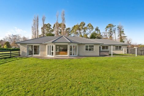 Photo of property in 137 Kent Street, Carterton, 5713