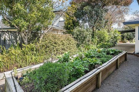 Photo of property in 8 Leigh Place, Paraparaumu Beach, Paraparaumu, 5032