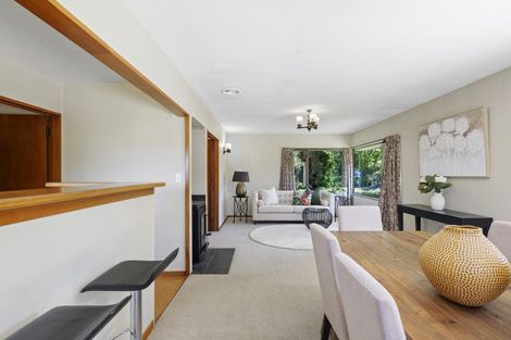 Photo of property in 13 Avoca Place, Darfield, 7510