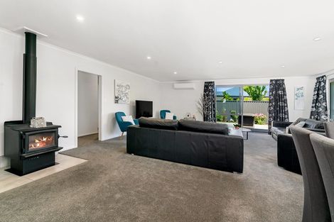 Photo of property in 3 Magnetic Place, Cromwell, 9310