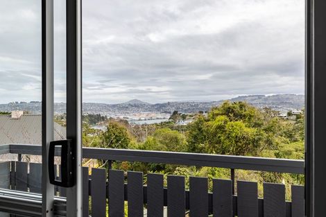 Photo of property in 33 Elliffe Place, Shiel Hill, Dunedin, 9013