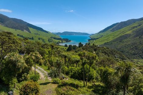 Photo of property in 565 Anakoha Road, Anakoha, Marlborough Sounds, 7284