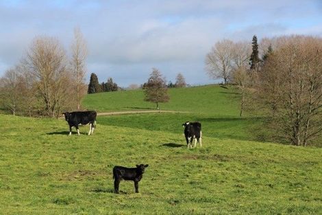 Photo of property in 29 Arapuni Road, Arapuni, Putaruru, 3415