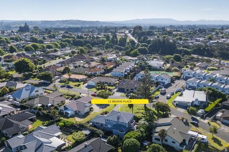 Photo of property in 12 Brodie Place, Bethlehem, Tauranga, 3110