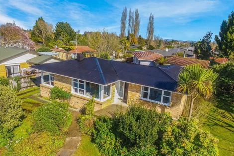 Photo of property in 35a Wymer Terrace, Chartwell, Hamilton, 3210