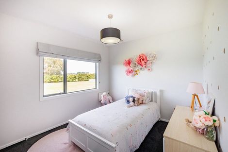 Photo of property in 57 Wapiti Avenue, Feilding, 4775