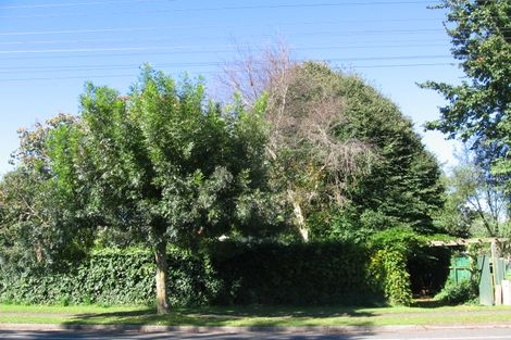 Photo of property in 130 Arapuni Street, Putaruru, 3411