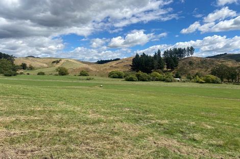 Photo of property in 287 Barracks Road, Hawkesbury, Renwick, 7272