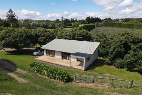 Photo of property in 342 Youngson Road, Whakamarama, Tauranga, 3179