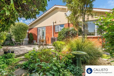 Photo of property in 16f Mure Street, Mosgiel, 9024