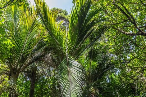 Photo of property in 121 Waihirere Drive, Tuateawa, Coromandel, 3583