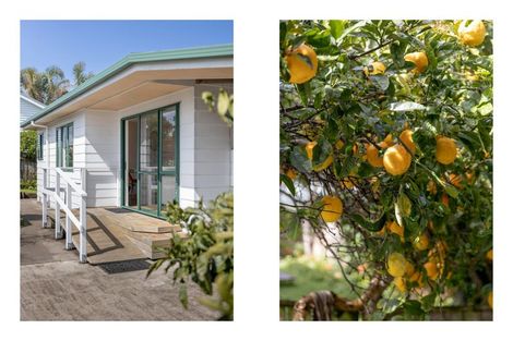 Photo of property in 48c Campbell Road, Mount Maunganui, 3116